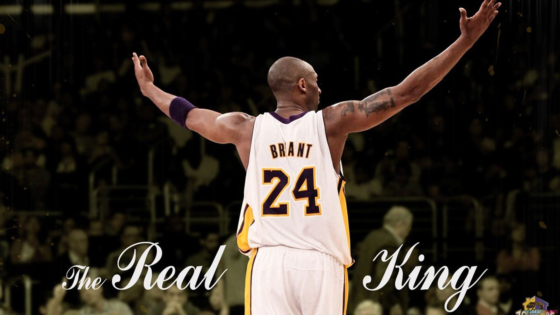 _骑士年轻核心表现抢眼，未来可期_，骑士17