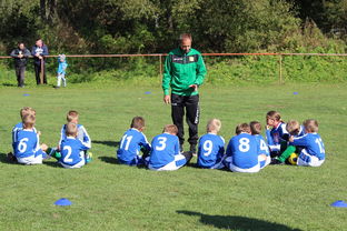 爱游戏登录入口-南非混合泳团队战术引热议，南非的混合农业