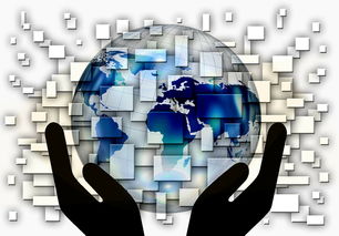 爱游戏官网下载-国家滑板协会公布全国青少年排名更新机制，国家滑板队训练中心